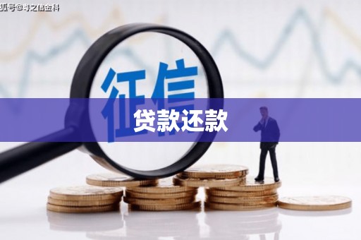 隆昌贷款还款
