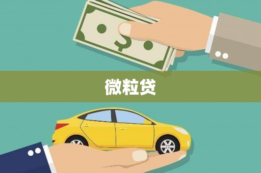 隆昌微粒贷