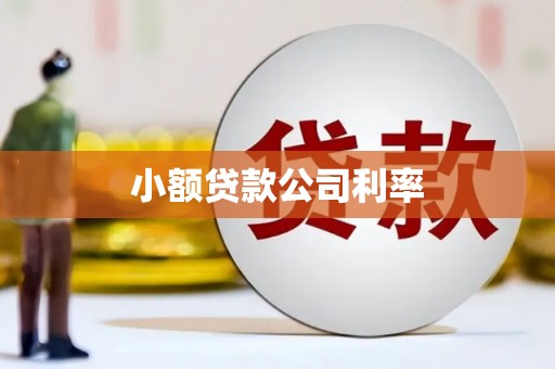 隆昌小额贷款公司利率