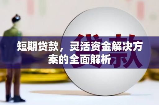 隆昌短期贷款，灵活资金解决方案的全面解析