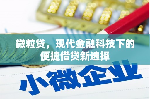 隆昌微粒贷，现代金融科技下的便捷借贷新选择