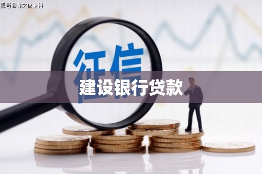 隆昌建设银行贷款