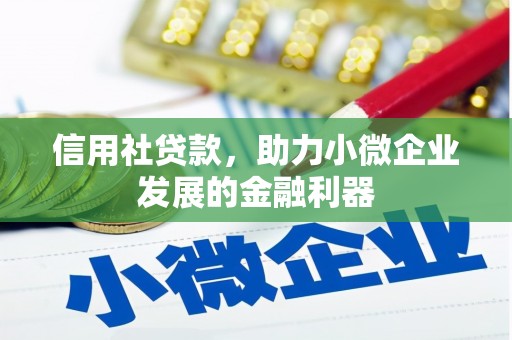 隆昌信用社贷款，助力小微企业发展的金融利器