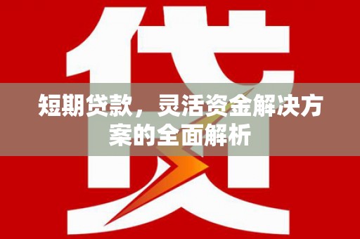 隆昌短期贷款，灵活资金解决方案的全面解析