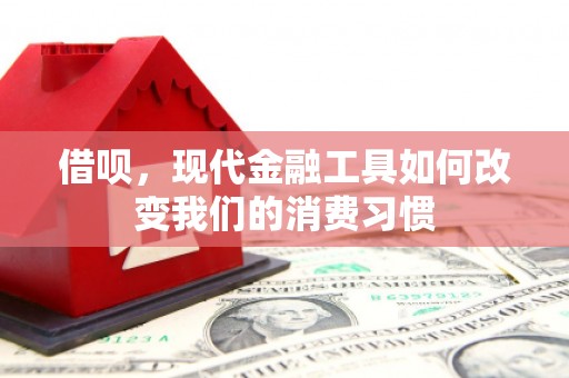隆昌借呗，现代金融工具如何改变我们的消费习惯