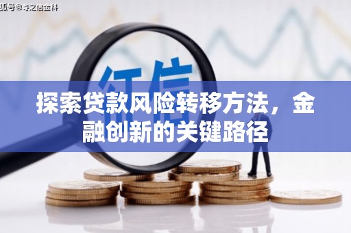 隆昌探索贷款风险转移方法，金融创新的关键路径