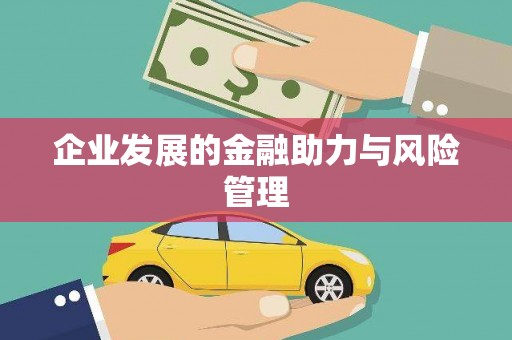隆昌企业发展的金融助力与风险管理