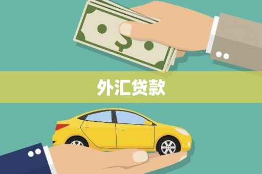 隆昌外汇贷款