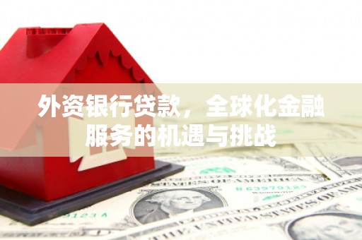 隆昌外资银行贷款，全球化金融服务的机遇与挑战