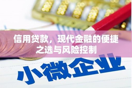 隆昌信用贷款，现代金融的便捷之选与风险控制
