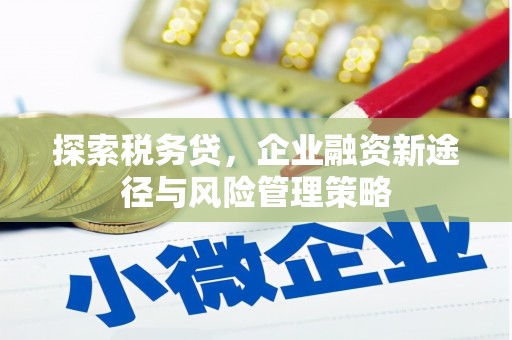 隆昌探索税务贷，企业融资新途径与风险管理策略