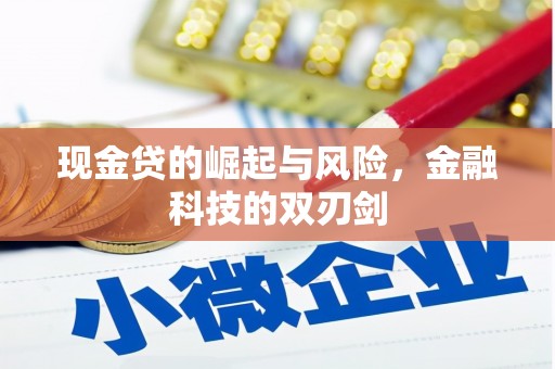隆昌现金贷的崛起与风险，金融科技的双刃剑