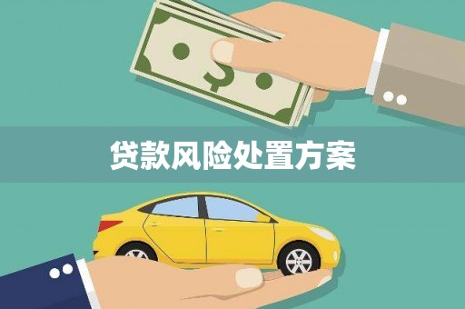 隆昌贷款风险处置方案
