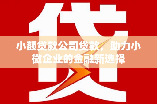 隆昌小额贷款公司贷款，助力小微企业的金融新选择