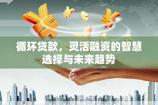 隆昌循环贷款，灵活融资的智慧选择与未来趋势