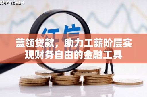 隆昌蓝领贷款，助力工薪阶层实现财务自由的金融工具