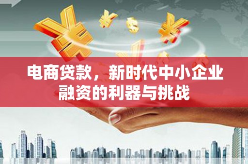 隆昌电商贷款，新时代中小企业融资的利器与挑战