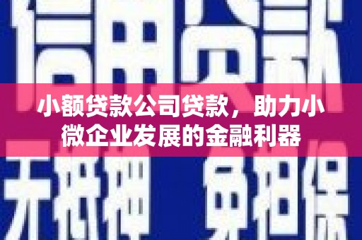 隆昌小额贷款公司贷款，助力小微企业发展的金融利器