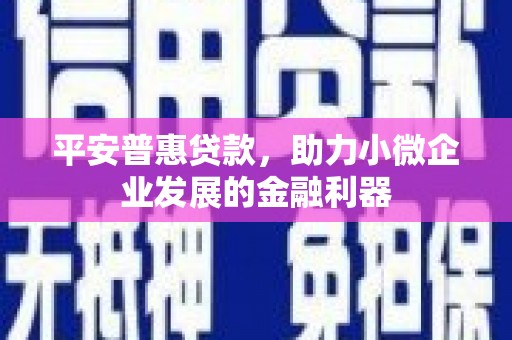 隆昌平安普惠贷款，助力小微企业发展的金融利器