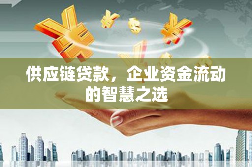 隆昌供应链贷款，企业资金流动的智慧之选