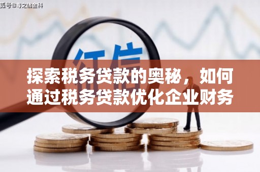 隆昌探索税务贷款的奥秘，如何通过税务贷款优化企业财务