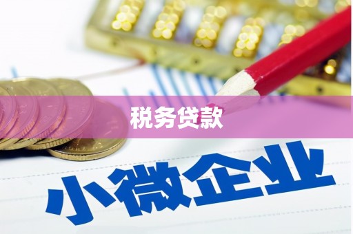 隆昌税务贷款