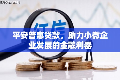 隆昌平安普惠贷款，助力小微企业发展的金融利器