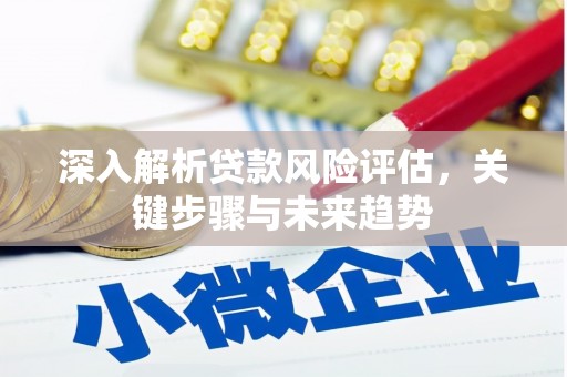 隆昌深入解析贷款风险评估，关键步骤与未来趋势