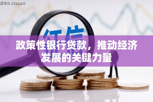 隆昌政策性银行贷款，推动经济发展的关键力量