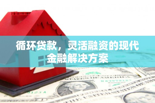 隆昌循环贷款，灵活融资的现代金融解决方案