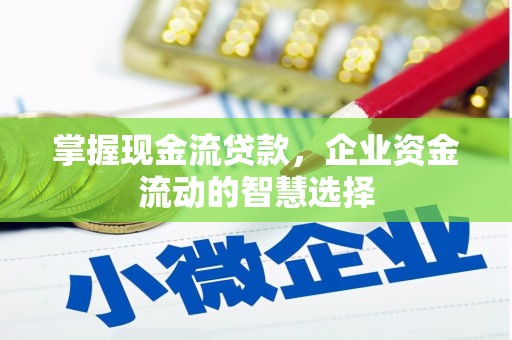 隆昌掌握现金流贷款，企业资金流动的智慧选择