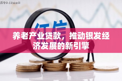 隆昌养老产业贷款，推动银发经济发展的新引擎