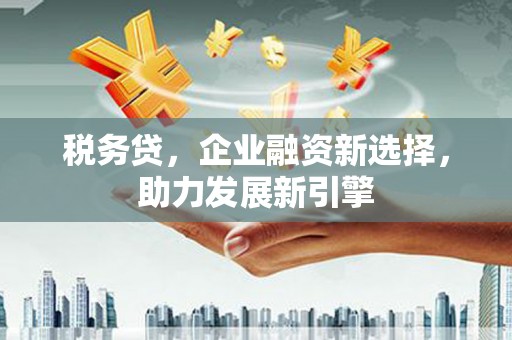 隆昌税务贷，企业融资新选择，助力发展新引擎
