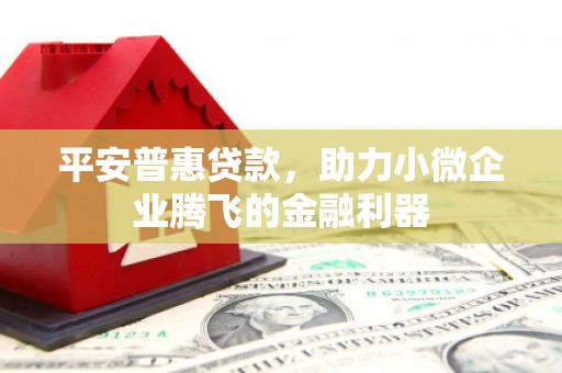 隆昌平安普惠贷款，助力小微企业腾飞的金融利器