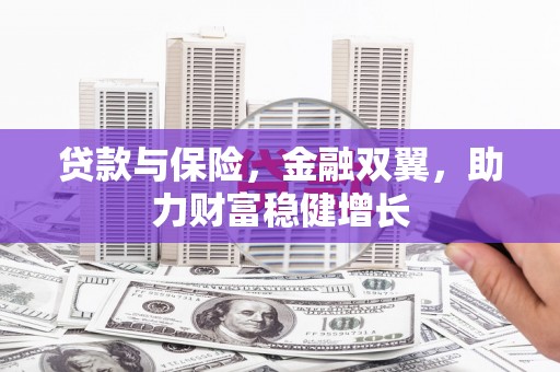 隆昌贷款与保险，金融双翼，助力财富稳健增长