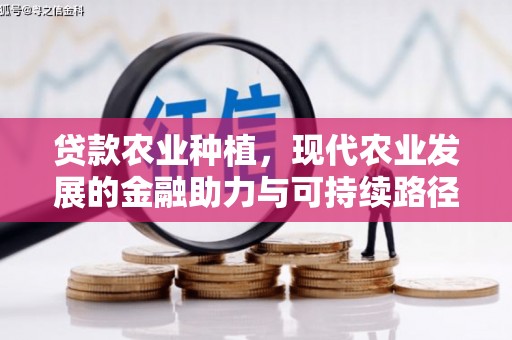 隆昌贷款农业种植，现代农业发展的金融助力与可持续路径