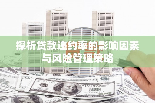 隆昌探析贷款违约率的影响因素与风险管理策略