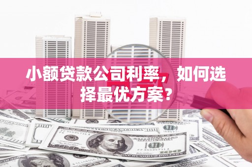 隆昌小额贷款公司利率，如何选择最优方案？