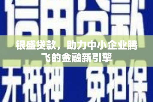 隆昌银盛贷款，助力中小企业腾飞的金融新引擎