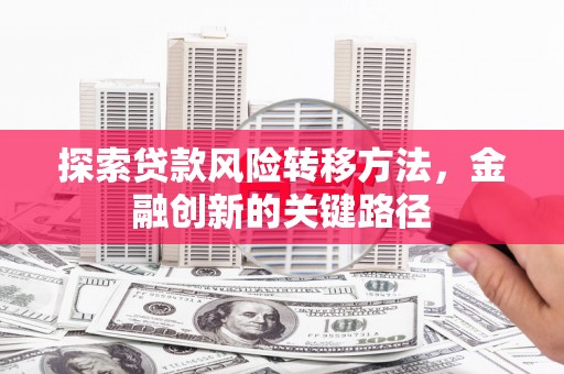 隆昌探索贷款风险转移方法，金融创新的关键路径