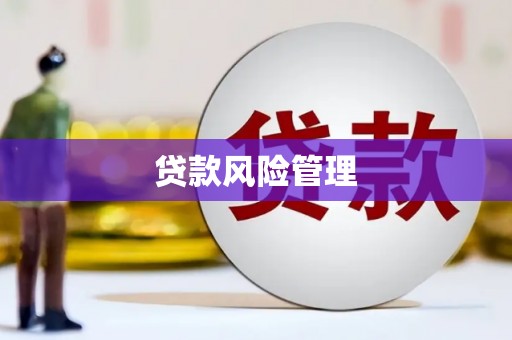 隆昌贷款风险管理