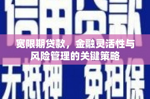 隆昌宽限期贷款，金融灵活性与风险管理的关键策略