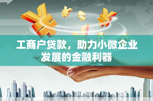 隆昌工商户贷款，助力小微企业发展的金融利器