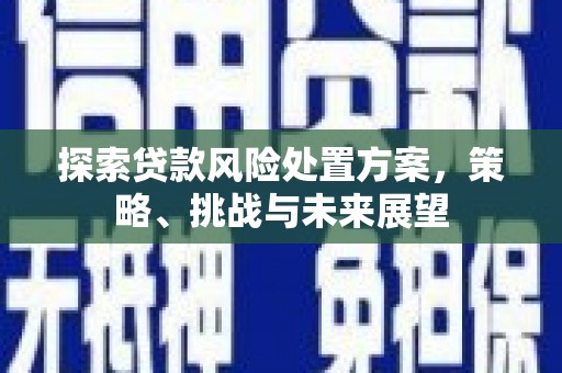 隆昌探索贷款风险处置方案，策略、挑战与未来展望