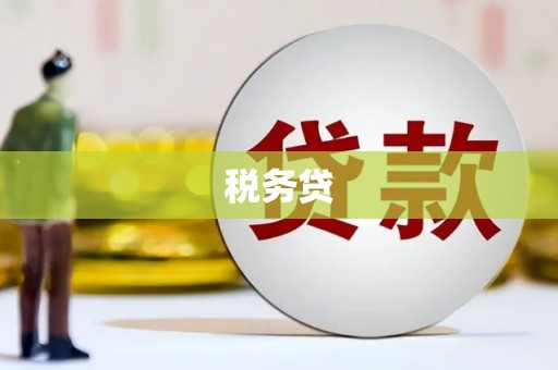 隆昌税务贷