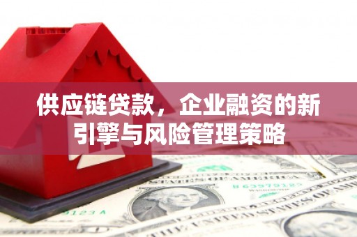 隆昌供应链贷款，企业融资的新引擎与风险管理策略