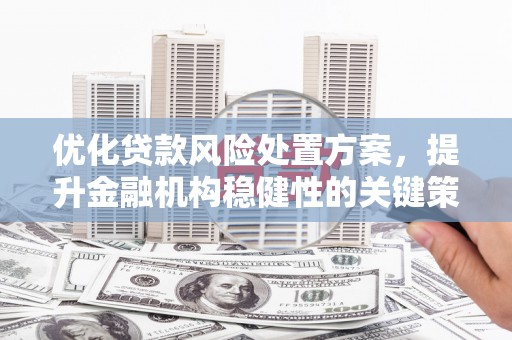 隆昌优化贷款风险处置方案，提升金融机构稳健性的关键策略