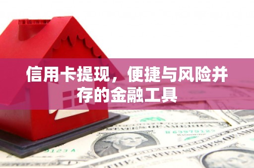 隆昌信用卡提现，便捷与风险并存的金融工具