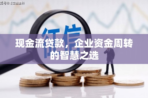 隆昌现金流贷款，企业资金周转的智慧之选