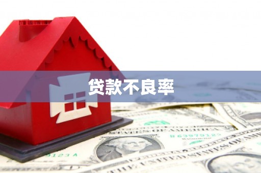 隆昌贷款不良率